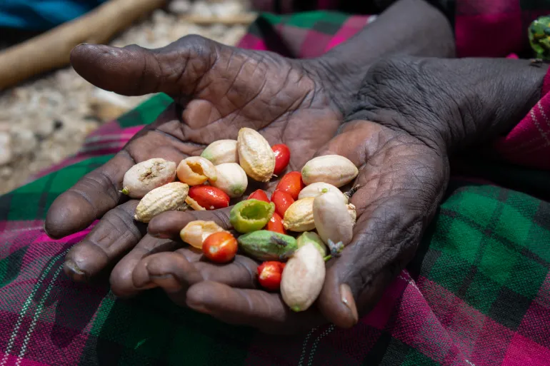 23 Counties Hit by Drought as 3.4 Million Kenyans Face Food Shortages